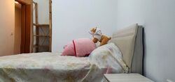 Shelford Suites (D11), Condominium #570976481